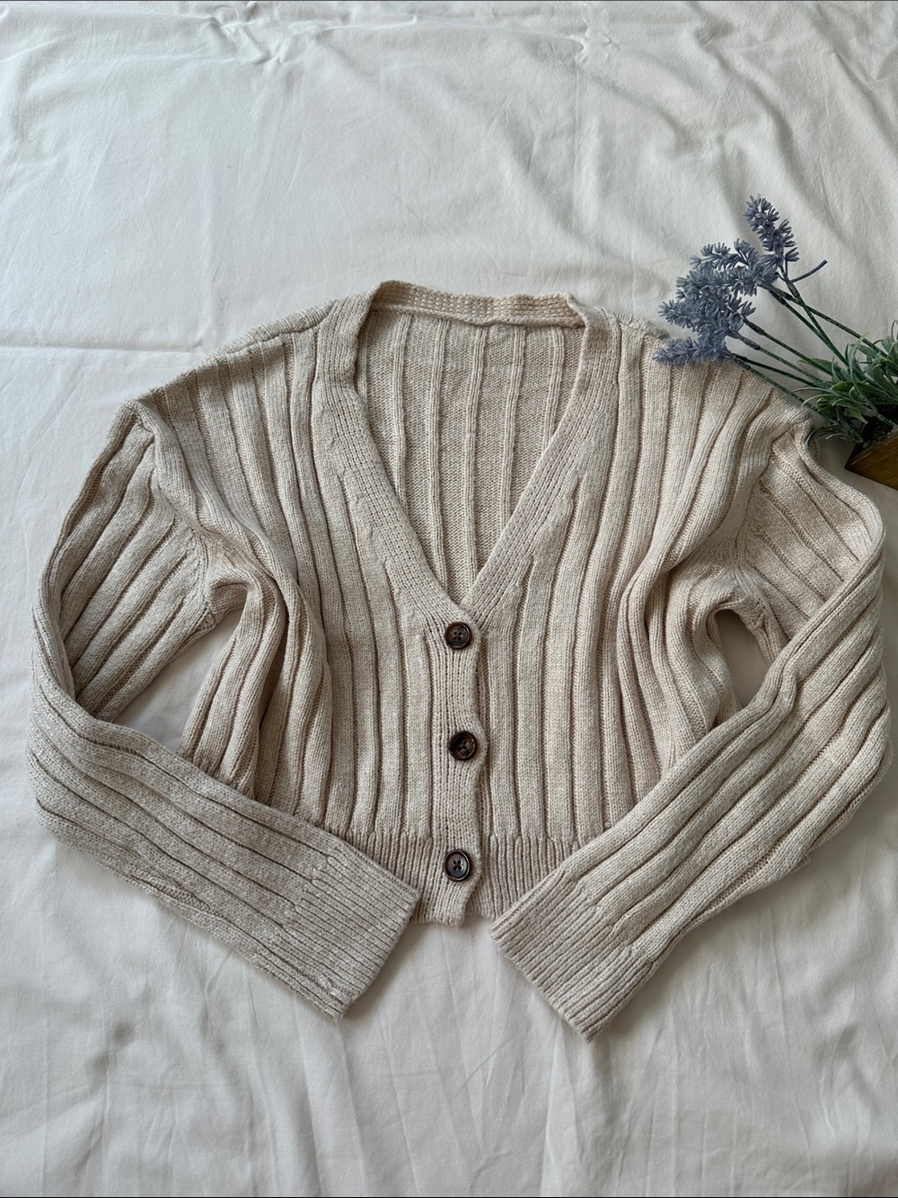 Garage Women’s Light Oatmeal Cream Ribbed V-Neck Cropped Cardigan Sweater